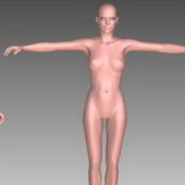 Realistic Female Body | Characters