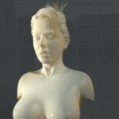 Female Bust Marble Statue | Characters