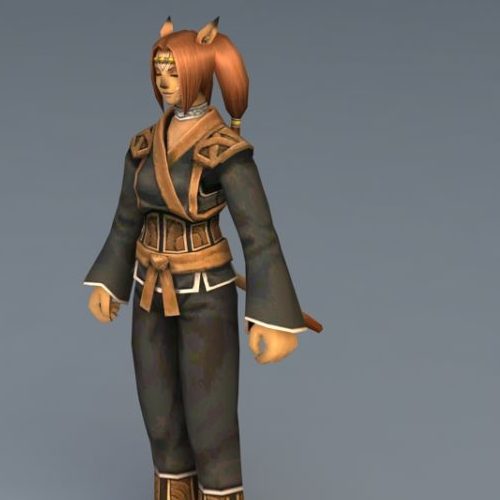 Final Fantasy Character Female Character
