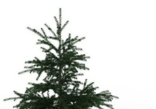 Nature Fir Christmas Tree
