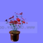 Flower Pot Plant
