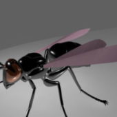 Fly Insect Rigged