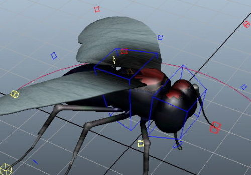 Fly Insect Animal Rigged
