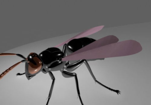 Fly Insect Rigged