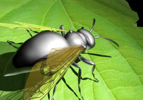 Flying Ant On Leaf