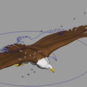 Bald Eagle Flying Rigged