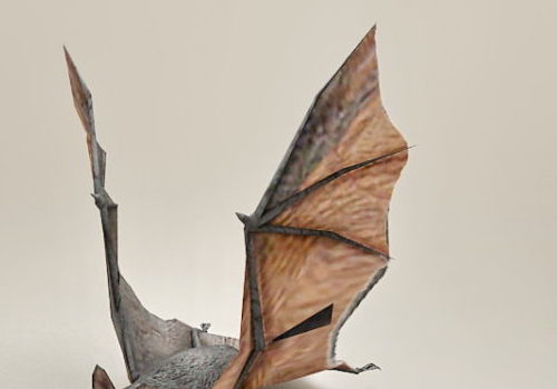 Realistic Flying Bat | Animals
