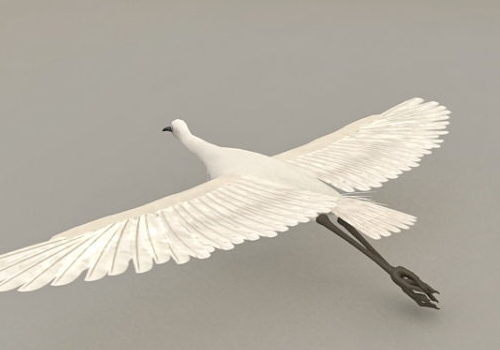 Flying Egret | Animals