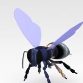 Flying Bee Lowpoly Animal Animals