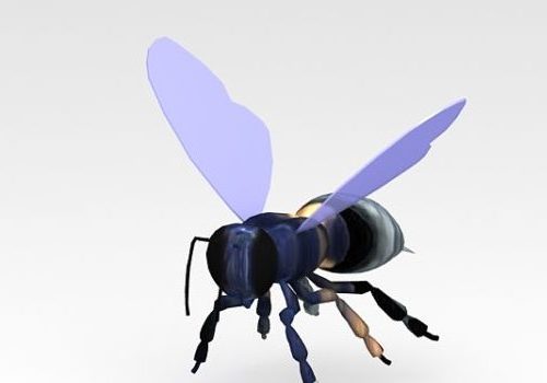 Flying Bee Lowpoly Animal Animals