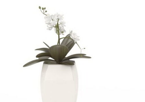 White Flowers In White Pot