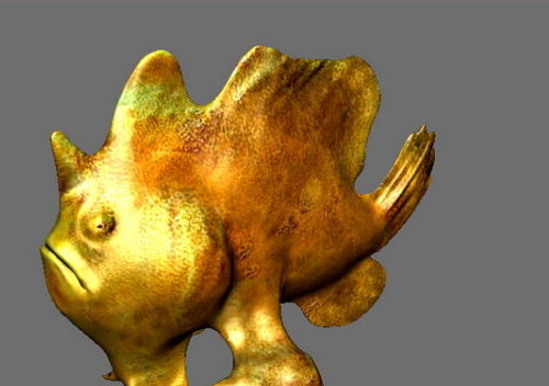 Frogfish Animal
