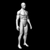 Full Male Body Character