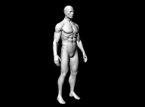Full Male Body Character