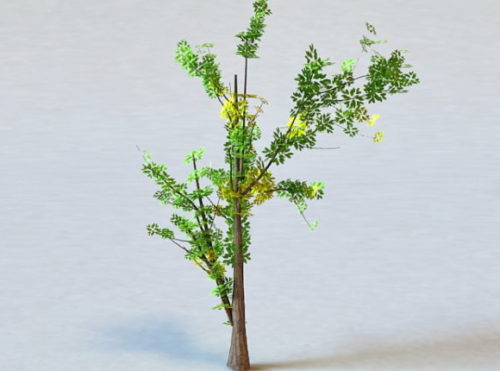 Generic Plant Tree