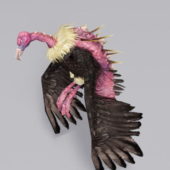 Giant Monster Vulture | Animals