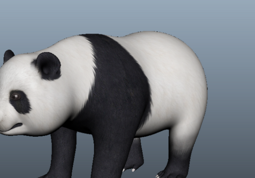 Giant Panda Cartoon Character