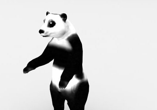 Panda Standing Animal Animals