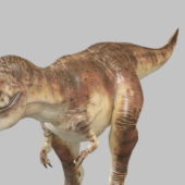 Giganotosaurus Dinosaur