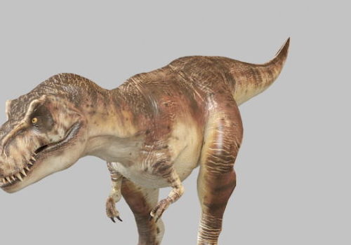 Giganotosaurus Dinosaur