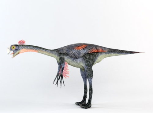 Gigantoraptor Dinosaur Animal