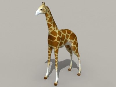 Giraffe Animal | Animals
