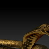 Gold Cobra Snake