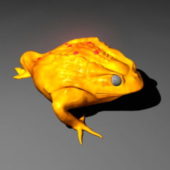 Animal Golden Toad
