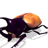 Golden Stag Beetle Animals