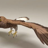 Goshawk Eagle Flying Rigged & Animated | Animals