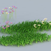 Nature Grass And Flowers