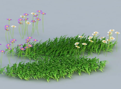 Nature Grass And Flowers
