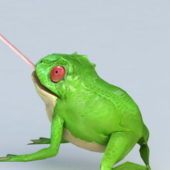 Green Frog Eating Animals