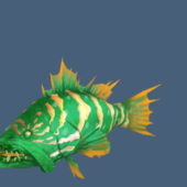 Animal Green Grouper Fish