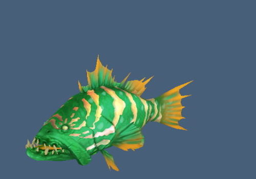 Animal Green Grouper Fish