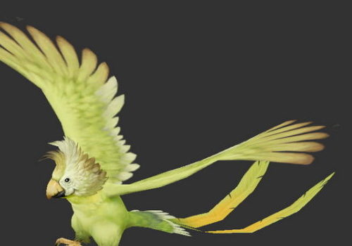 Beauty Quaker Parrot Bird