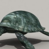 Green Tortoise | Animals