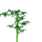 Green Bamboo Tree With Leaves