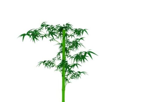 Green Bamboo Tree With Leaves 3D Model - .Max - 123Free3DModels