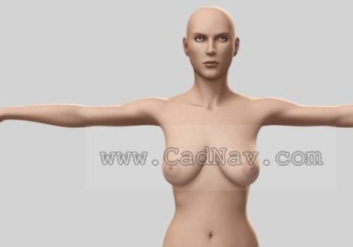 Women Body