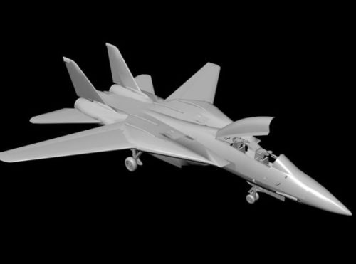 Grumman F14 Fighter Aircraft