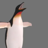 Wild Penguin Animal