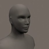 Typical Head Base Mesh | Characters
