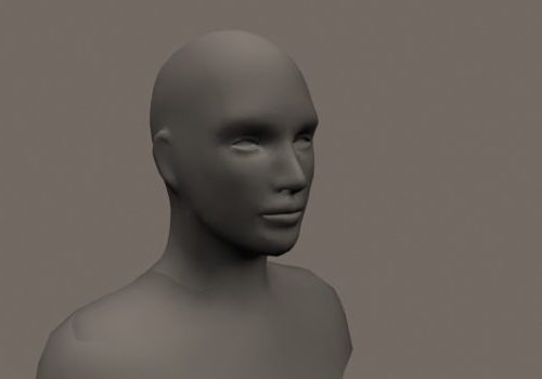 Typical Head Base Mesh | Characters