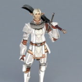 Character High Elf Knight