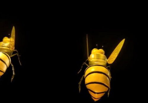 Honey Bee Animal