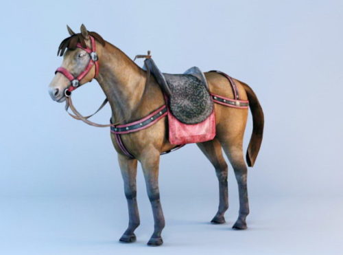 Animal Horse With Saddle