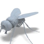 House Fly Lowpoly Animals