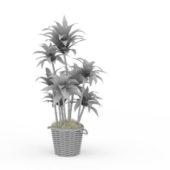 House Basket Pot Plant Trees