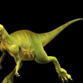Hypsilophodon Dinosaur Animal Rigged